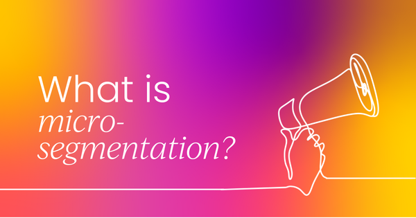 What is micro-segmentation in marketing?