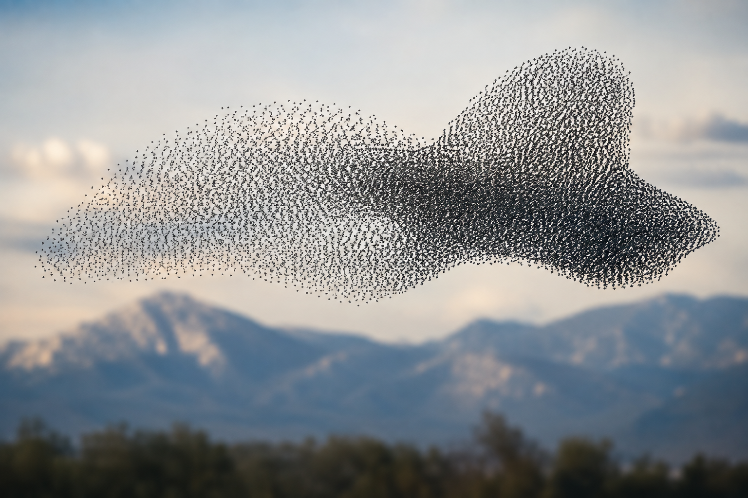 Emergence in Systems Thinking: When the Whole Becomes More Than the Sum of Its Parts