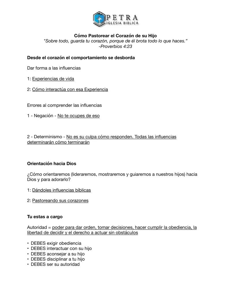 Shepherding a Child's Heart (Spanish)