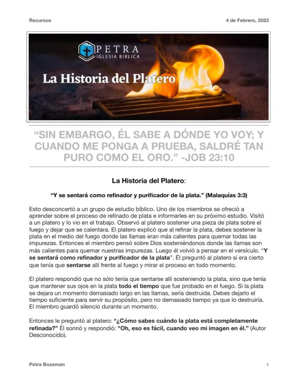 Historia del Platero