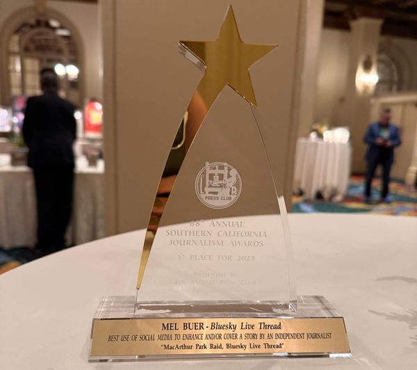 Award-winning independent journalist, Mel Buer