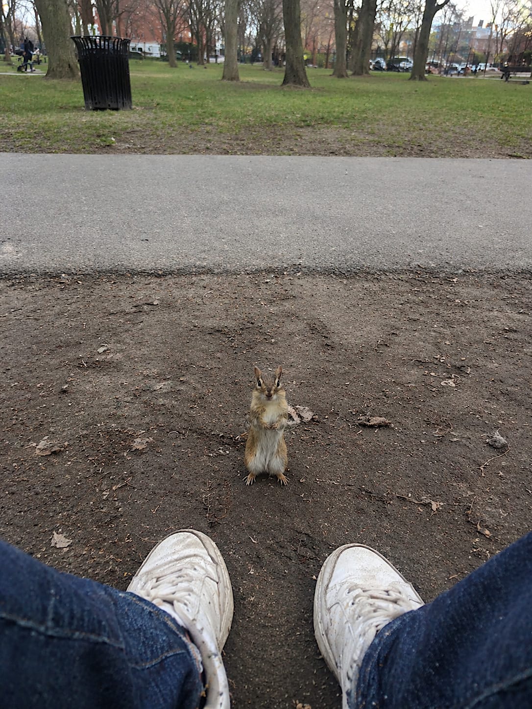 Chipmunk standing upright near a person’s shoes beside a park bench.
