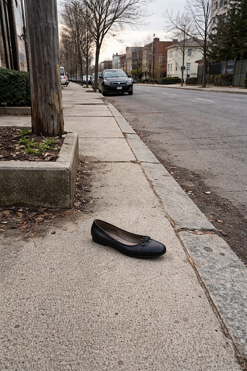Single abandoned women’s flat shoe near a curb on an ordinary city sidewalk.