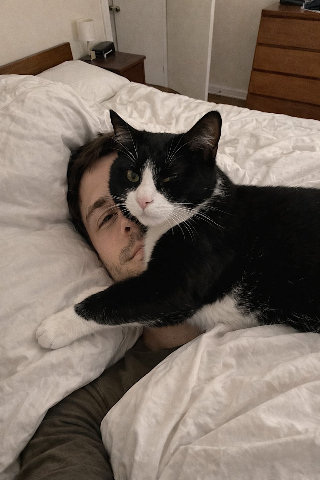 Black-and-white tuxedo cat lying across a person’s face and chest in bed.