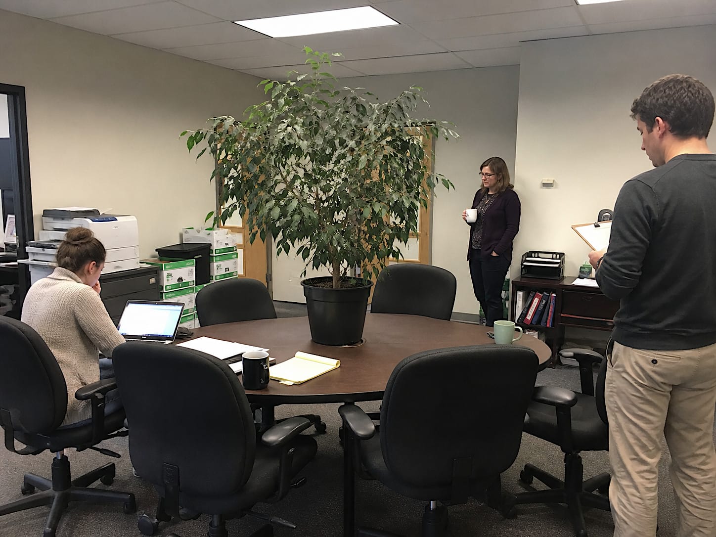 Large potted Ficus sitting at the center of an office conference table with workers gathered nearby.
