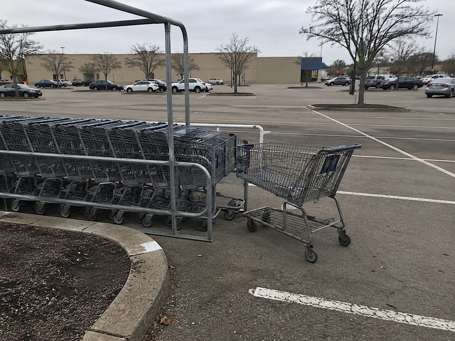 A lone metal shopping cart sits awkwardly outside a cart return corral in a mostly empty overcast parking lot, angled toward a long row of nested carts as if trying to rejoin them.