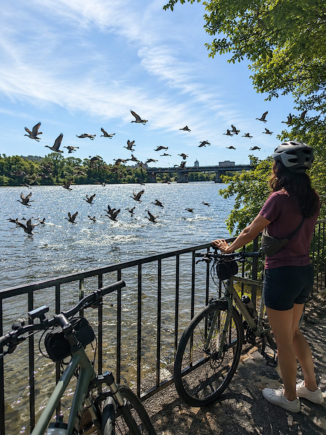 Birds lift off over a sunlit river as Nora stands by two bikes at the railing on a bright summer ride.