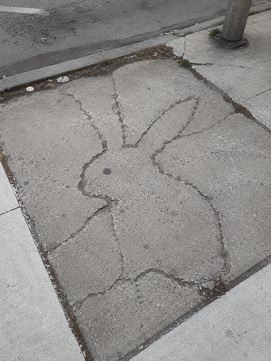 A cracked urban sidewalk where the worn seams and dark weathered lines accidentally form a clear rabbit shape, with two long ears, a rounded body, and a small dark spot like an eye.