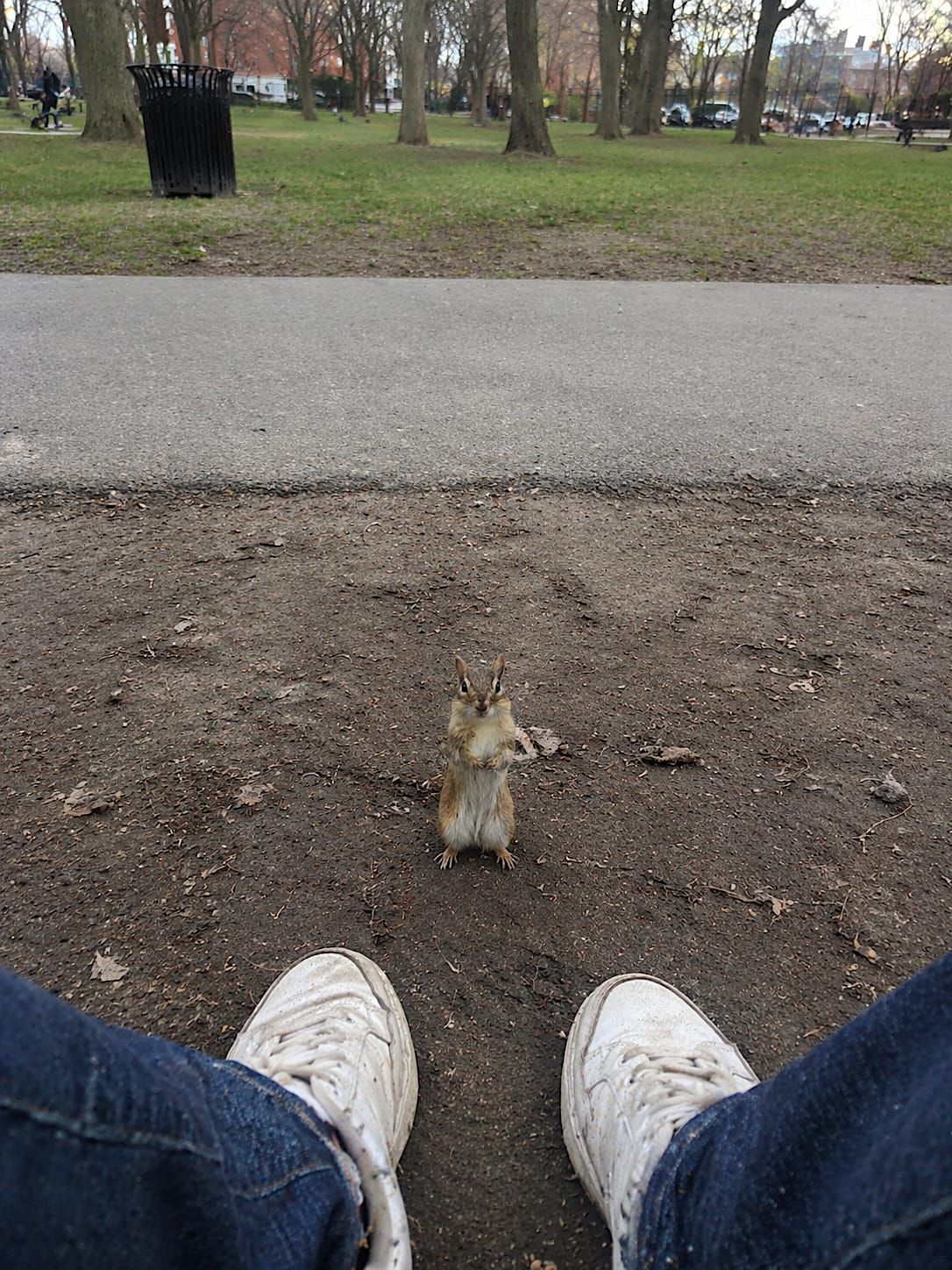 Chipmunk standing upright near a person’s shoes beside a park bench.