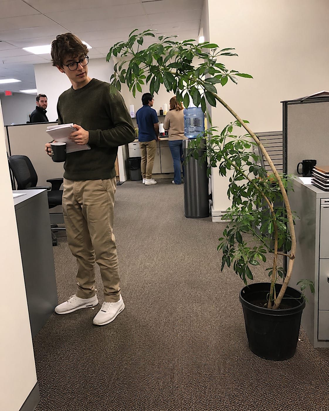 A tired office plant leans toward a nervous new intern while coworkers pretend not to notice.