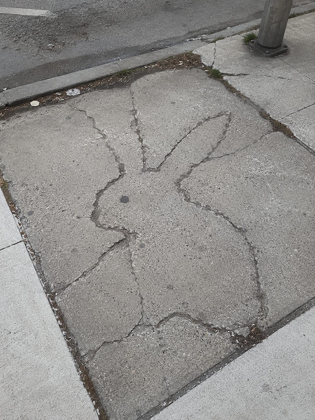 A cracked urban sidewalk where the worn seams and dark weathered lines accidentally form a clear rabbit shape, with two long ears, a rounded body, and a small dark spot like an eye.