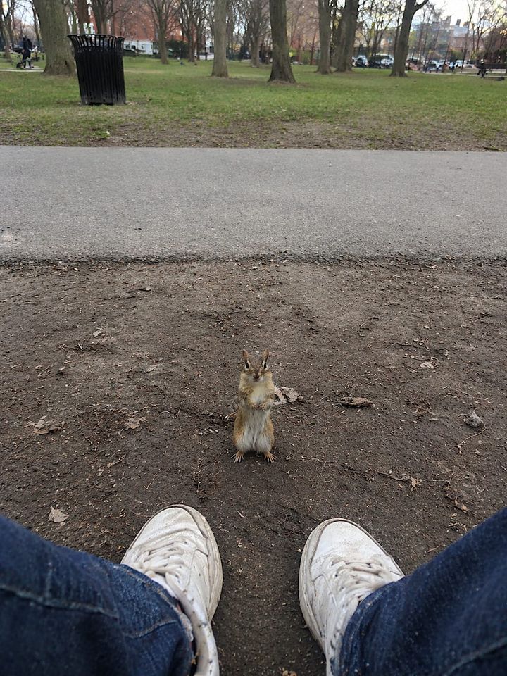 Is it you, little buddy? Are you the one behind the shoe thing?