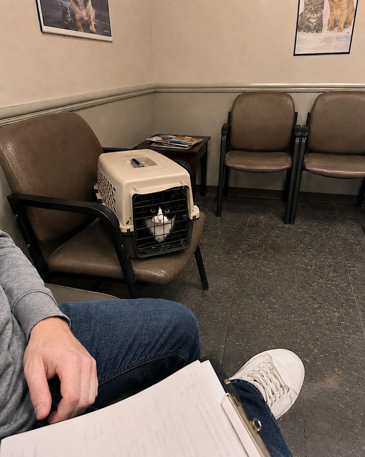 Routine checkup. She’s fine. The vet asked about her name. I told her someone else chose it.