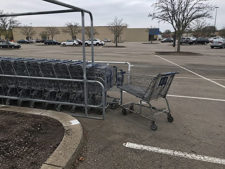 "The restless adolescent returns to the herd, chastened by the discovery that freedom, in the end, is mostly parking lots."