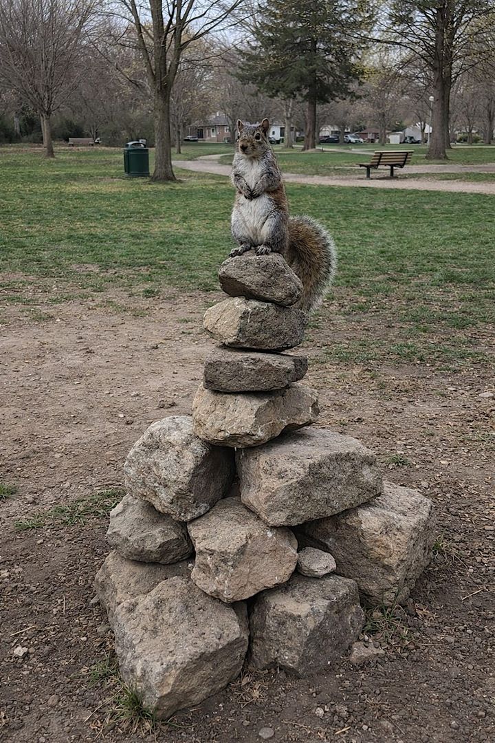 The line between squirrel and deity has narrowed.