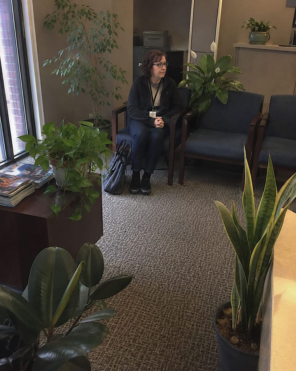 "Here, among the ficus, pothos, snake plant, and assorted others, the visitor remains almost perfectly still, and by midday the office flora have accepted her as one of their own."