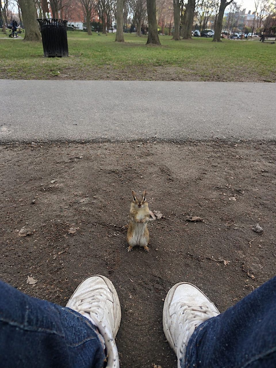 Is it you, little buddy? Are you the one behind the shoe thing?