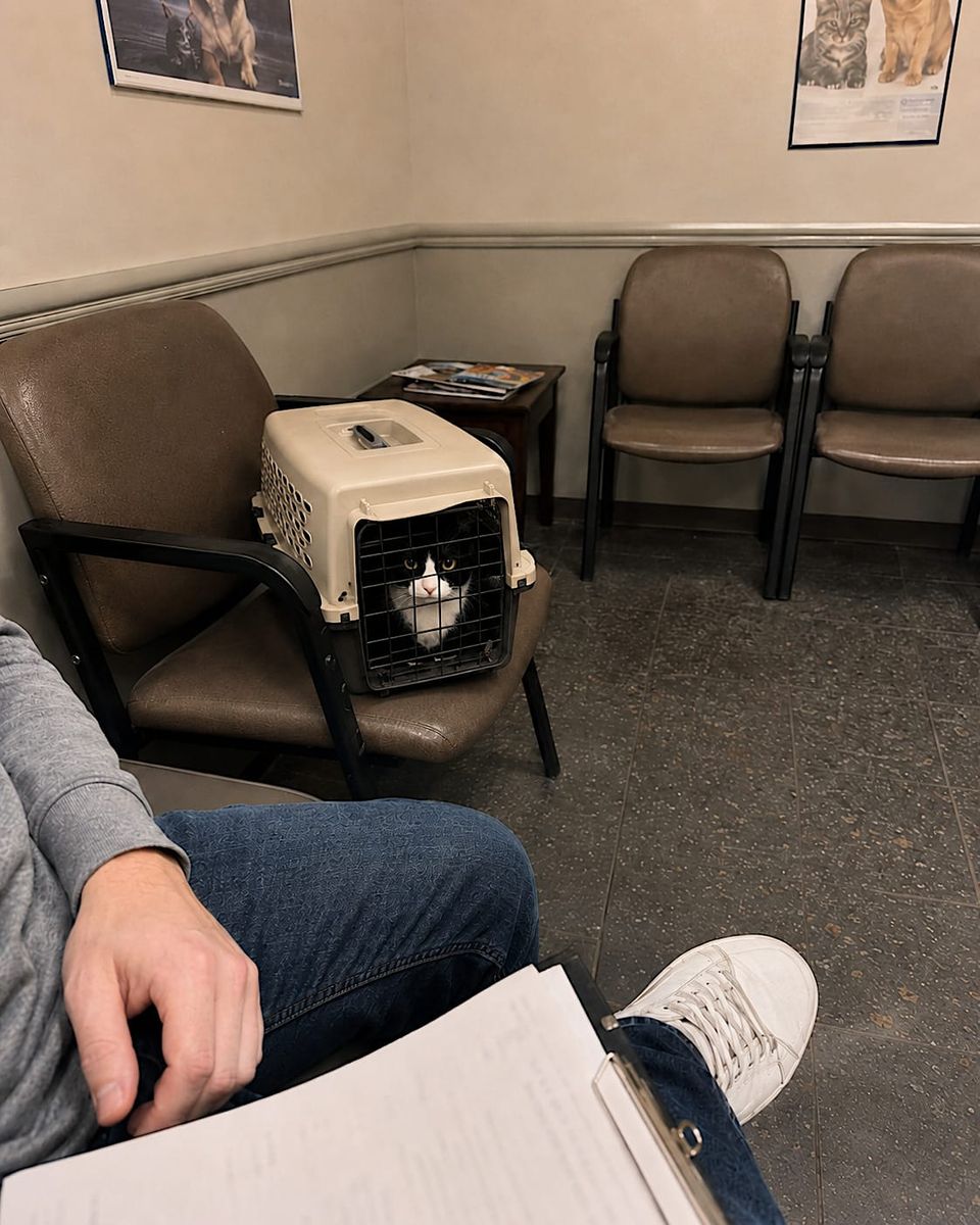 Routine checkup. She’s fine. The vet asked about her name. I told her someone else chose it.