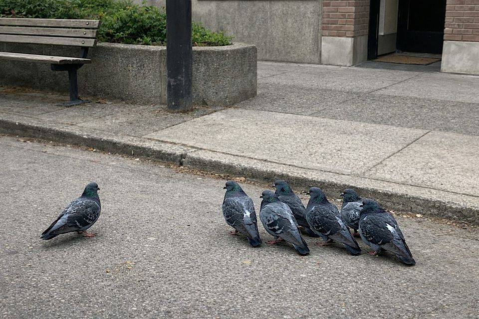 Somebody missed the meeting.