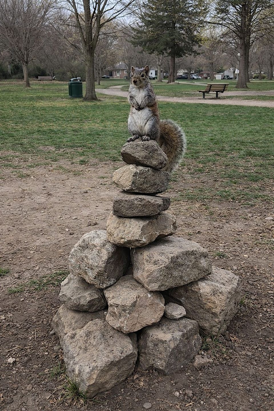 The line between squirrel and deity has narrowed.