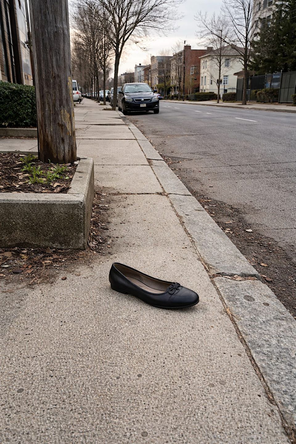 Third solo shoe I’ve seen lately. Not sure if this is actually common or if I’ve just trained myself to notice weird little things now.