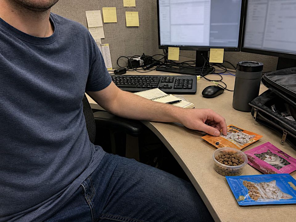 I shouldn’t have let Mabel pack my lunch.