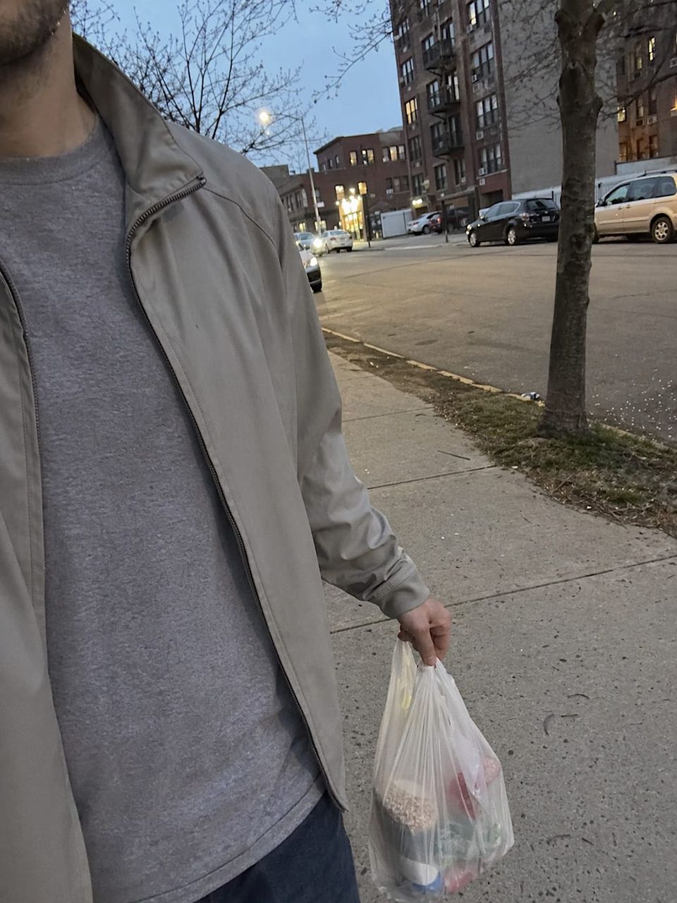 "Each evening, countless individuals return to their nests carrying provisions in thin plastic sacs."