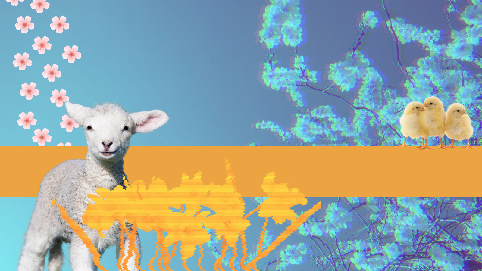 A lamb, chicks, daffodils and tree blossoms can be seen on a distorted background.