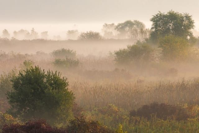 Morning fog lifts over a field in Caledonia, Wisconsin