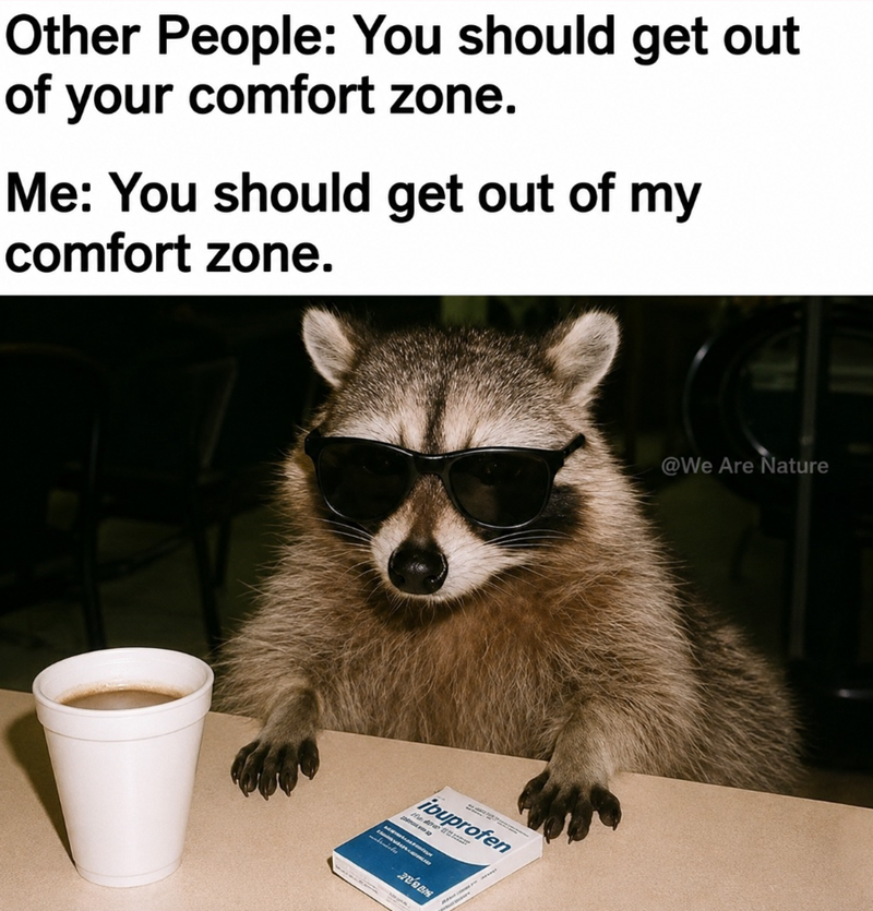 A meme of a raccoon in sunglasses in front of coffee and a pack of ibuprofen. The caption reads "Other people: You should get out of your comfort zone. Me: You should get out of my comfort zone."