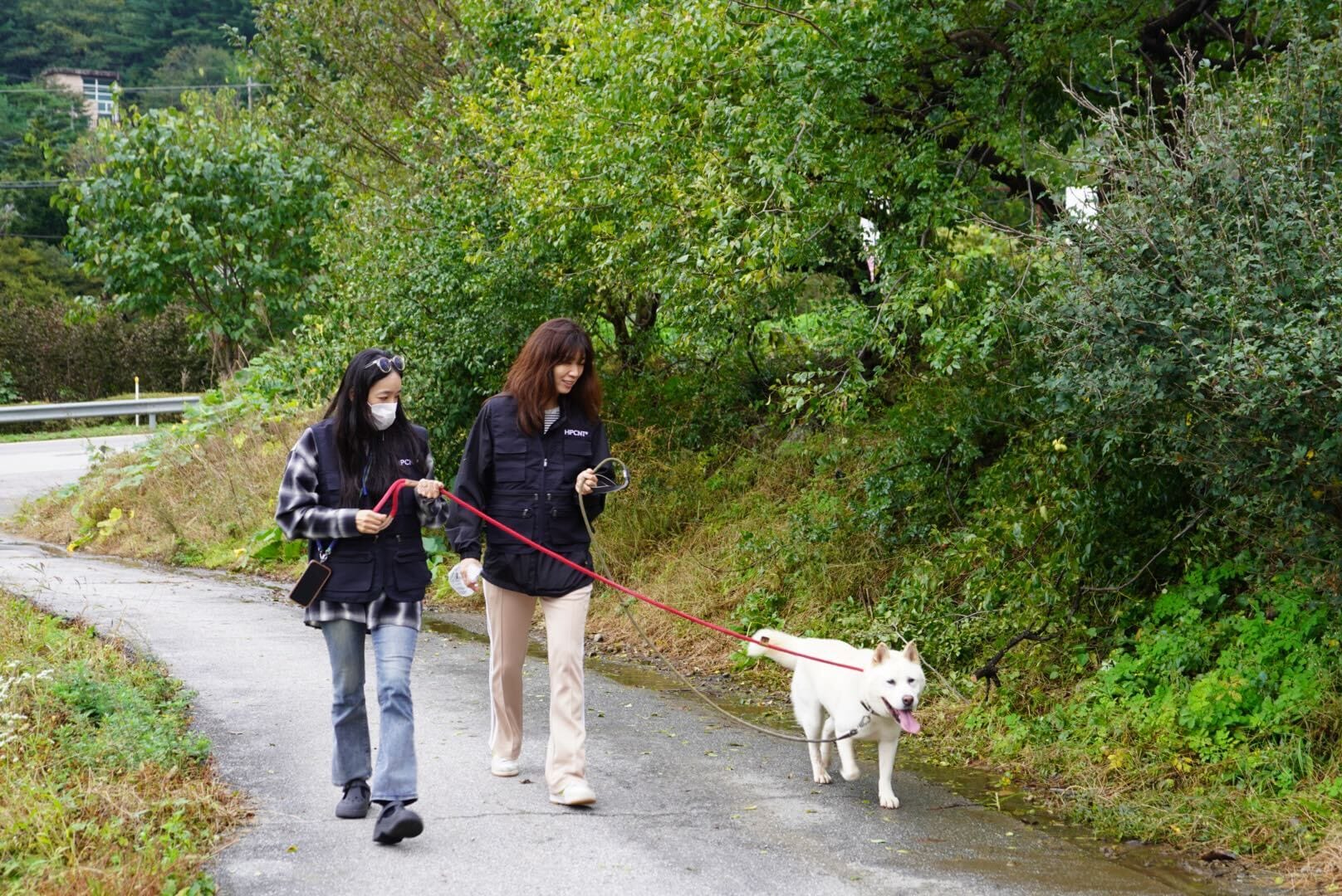 하이퍼커넥트®, 유기견·묘 보호소에서 제6차 봉사활동 완료