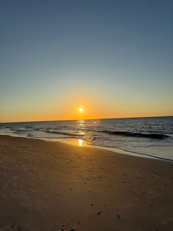 Is Our Brain Lying to Us About Joy?