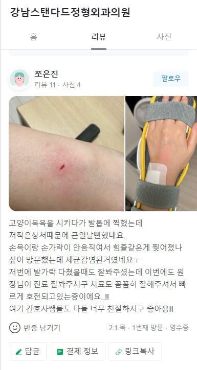 Cat Bite or Scratch? 3 Things You Must Do — Gangnam Standard Orthopedic Clinic