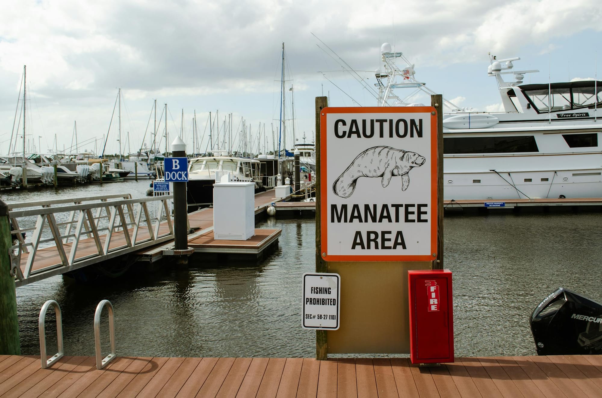 Yacht Sustainability and Environmental Regulations: From PR Imperative to Operational Mandate