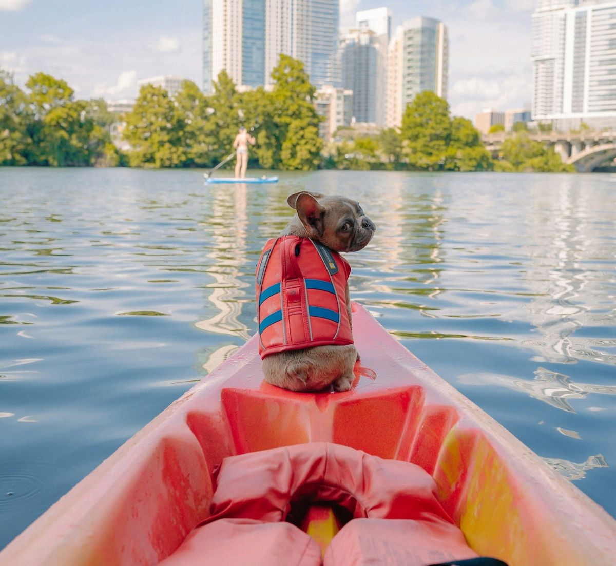 U.S. Boating Safety Rules May Be Changing Soon