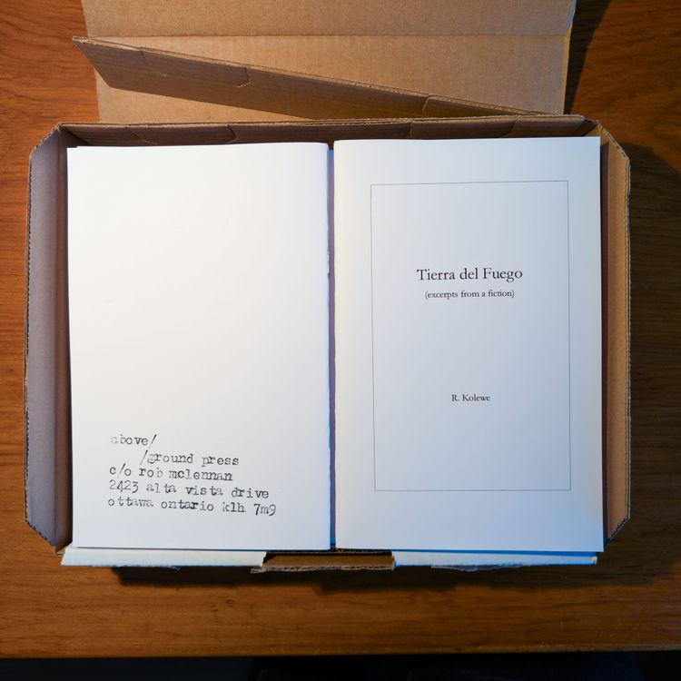 Excerpts from a fiction