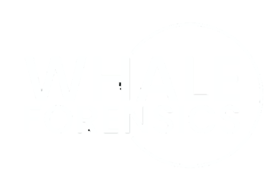 Whale Legacy - Your Dedicated AI Incident Report Service.