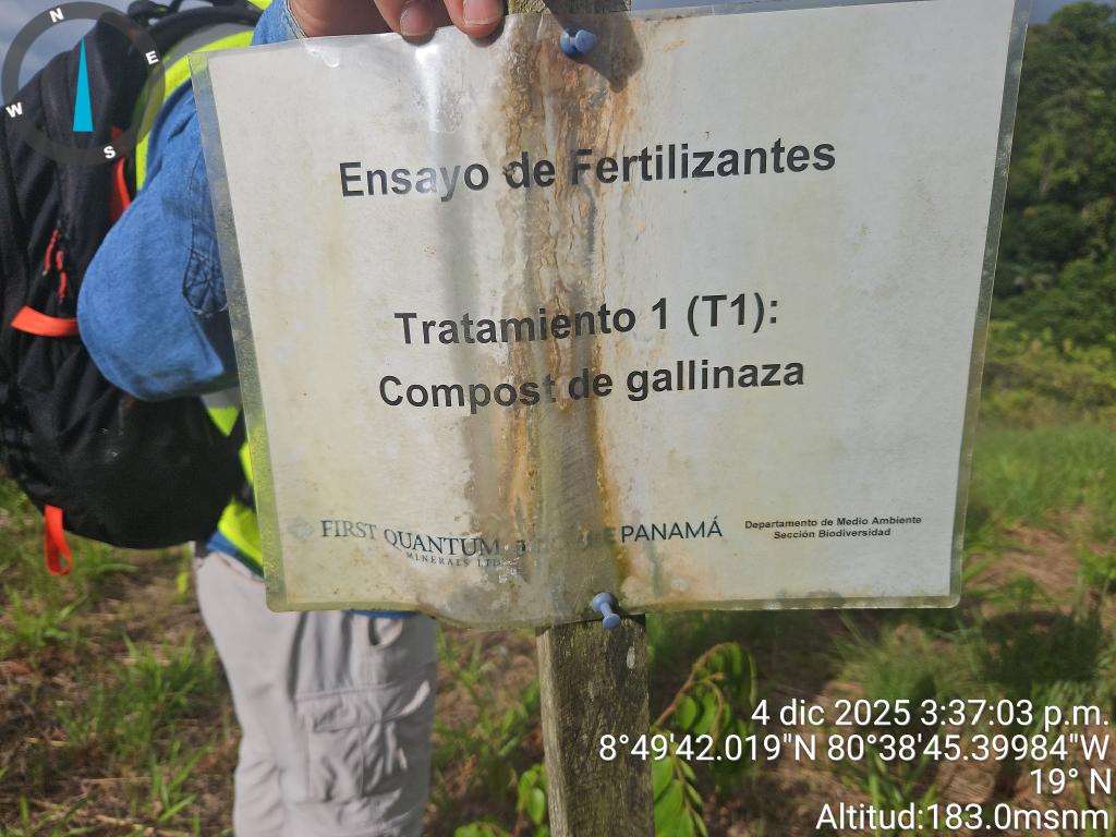 Parcela de reforestación de Cobre Panamá inspeccionada por SGS, diciembre 2025