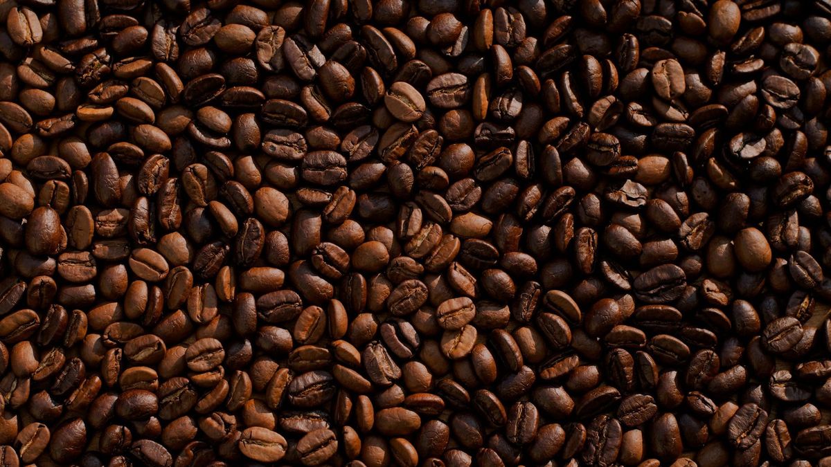 Green Coffee Co. abre ronda de inversión para financiar su camino a la bolsa