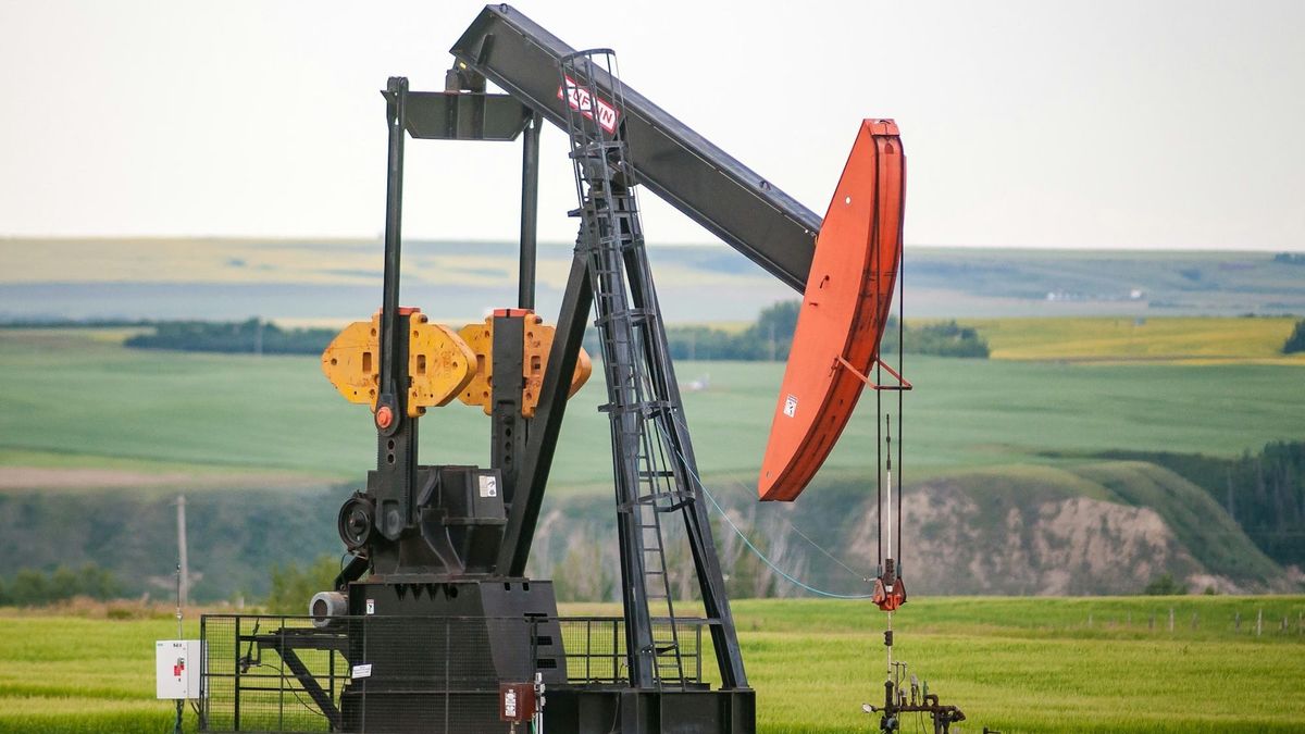 La OPEP+ mantiene congelada la producción de petróleo pese al encarecimiento y tensiones geopolíticas