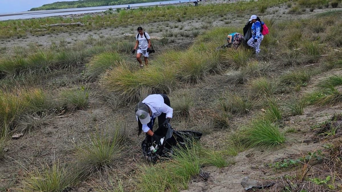 MiAMBIENTE y Chepo limpian playas en festival