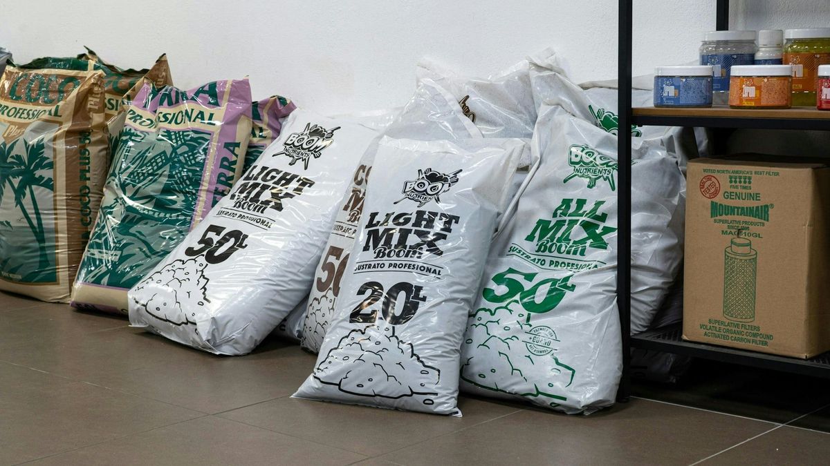 Precios de fertilizantes suben 35% y Brasil ajusta demanda ante crisis logística global