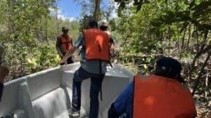 MiAMBIENTE y aliados revisarán manglares de Chame