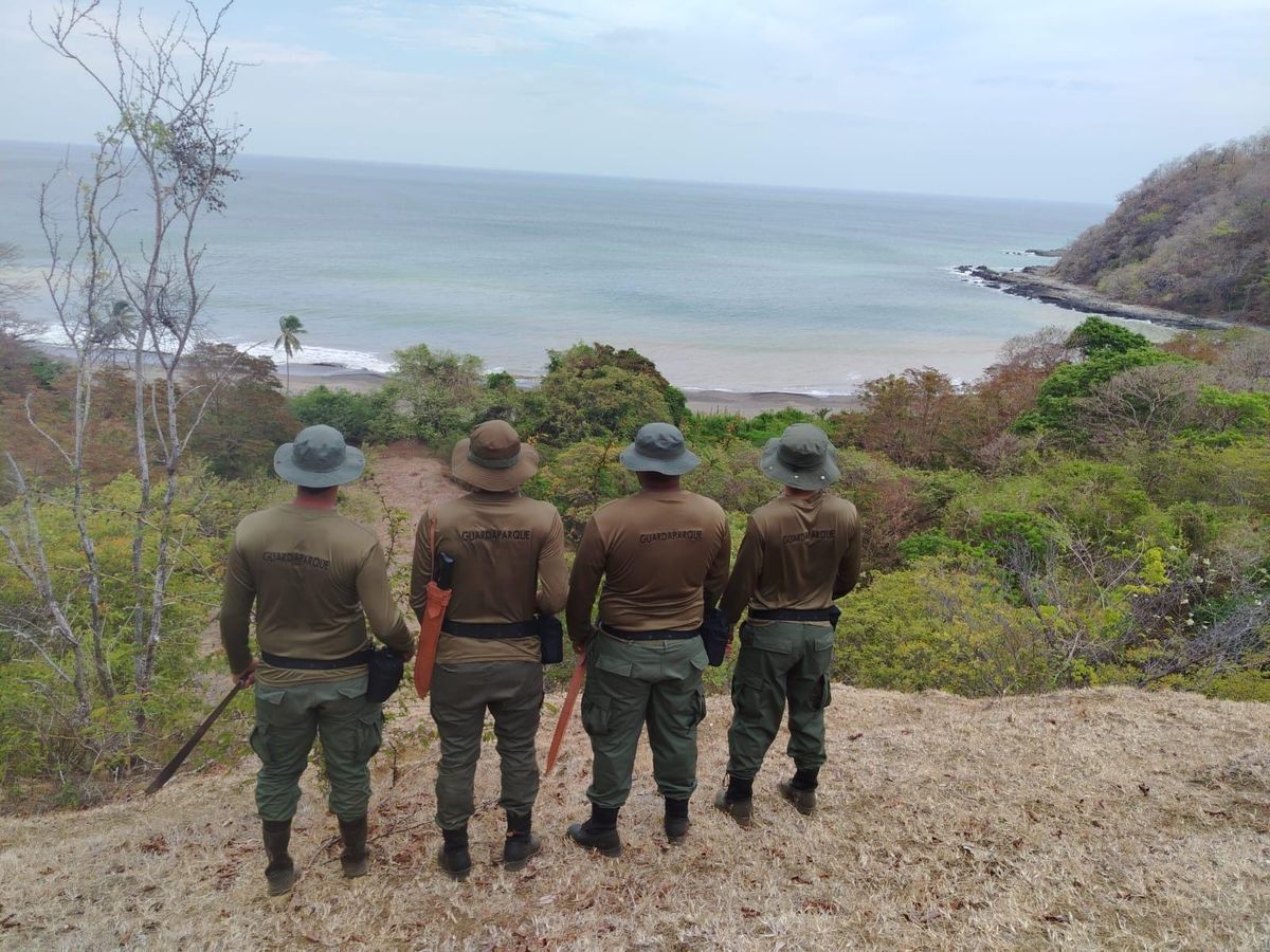 Playa La Marinera: Santuario vital para tortuga lora