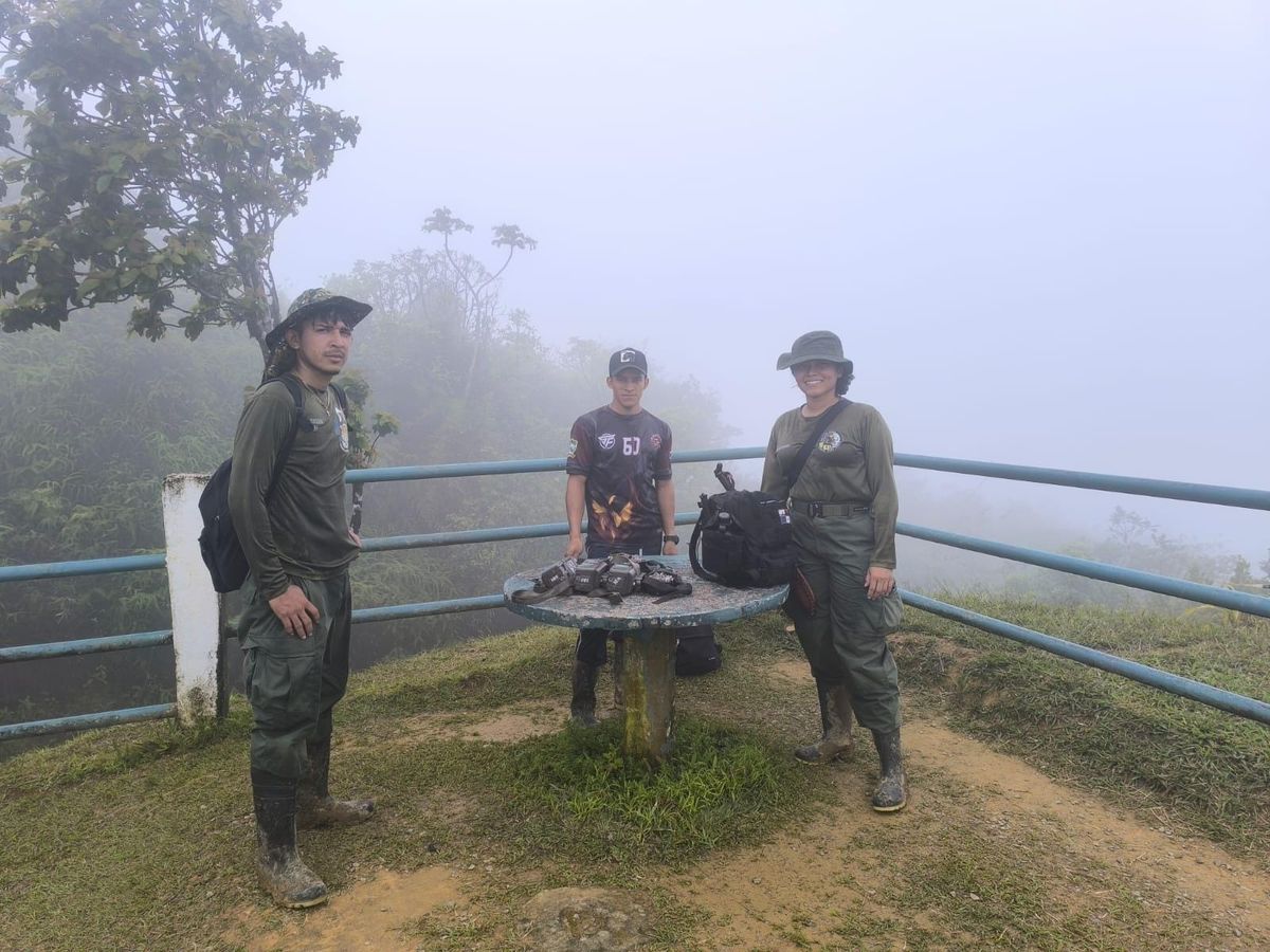 MiAMBIENTE detecta deforestación en Parque Omar Torrijos