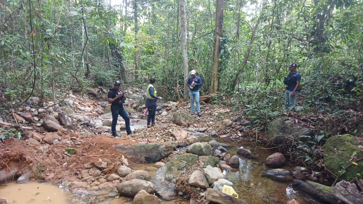 MiAMBIENTE inspecciona daño por minería ilegal en Capira