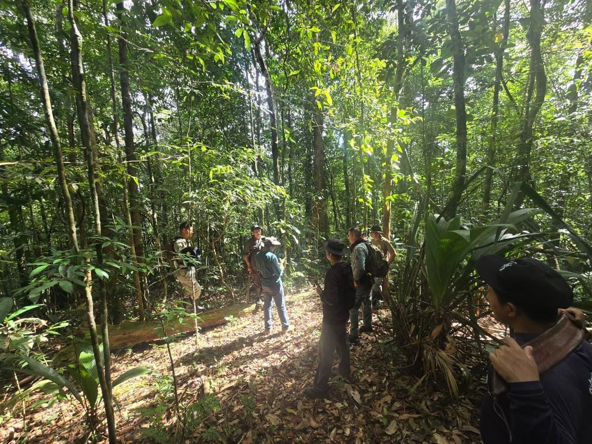 Sierra Llorona: Monitoreo ambiental revela rica fauna en Colón
