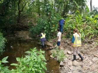 MiAMBIENTE investiga peces muertos en Playa Chiquita, La Chorrera