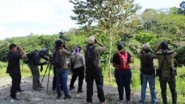 Capacitan en avistamiento de aves para Global Big Day