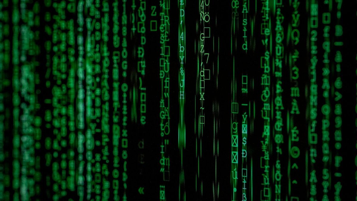 Tus datos personales valen menos de $100 en la dark web — y con ellos pueden vaciarte la cuenta